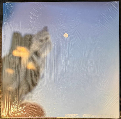 GEESE "Getting Killed" (Clear Vinyl)