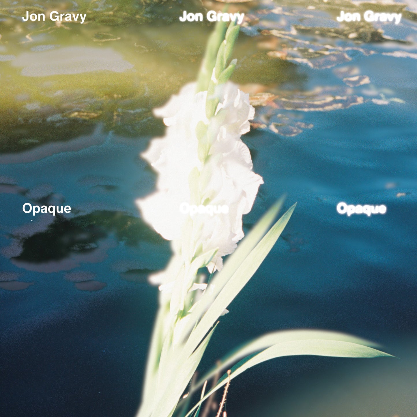 Jon Gravy "Opaque"