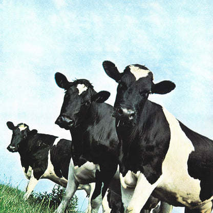 Pink Floyd "Atom Heart Mother" (Remaster)