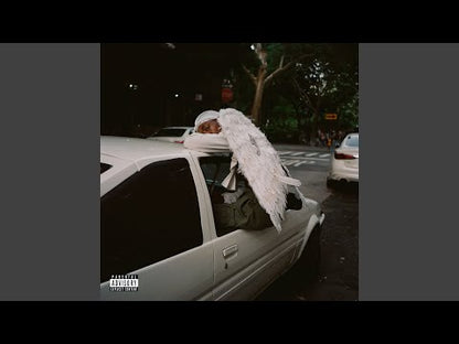 Blood Orange "Negro Swan"