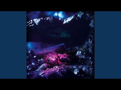 Stenny "Sharp Fragments"