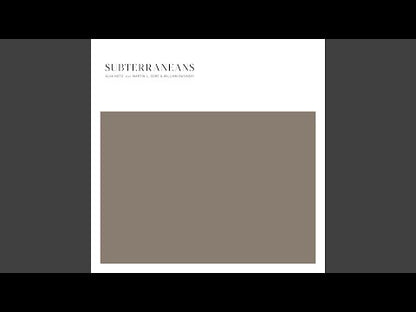 Alva Noto / Martin L Gore / William Basinksi "Subterraneans"