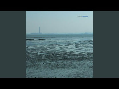 Fennesz "Black Sea" (2x10" genudgivelse)