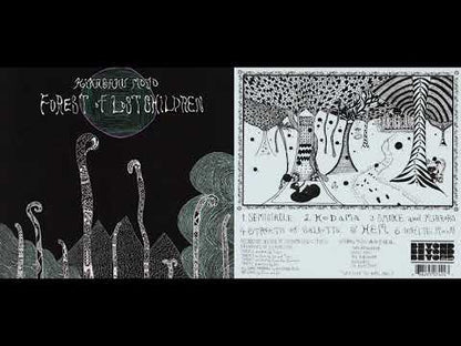 Kikagaku Moyo "Forest Of Lost Children" (Repress)