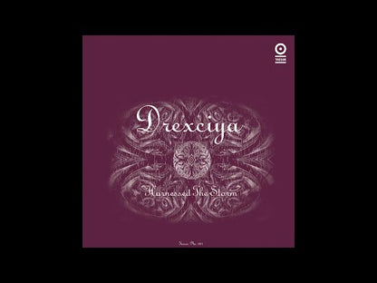 Drexciya "Harnessed The Storm"