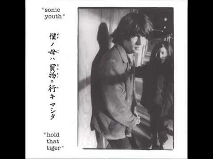 Sonic Youth "Hold That Tiger" (Live)