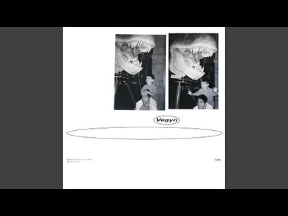 Vegyn "Only Diamonds Cut Diamonds" (Repress)