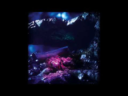 Stenny "Sharp Fragments"