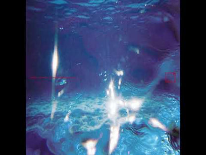 Fabiano Nascimento, Eddie Ruscha "Aquáticos"