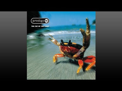 Prodigy "The Fat Of The Land"