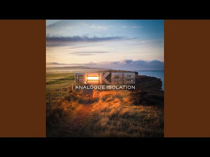 ReKaB "Analogue Isolation"