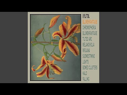 Xylitol "Blumenfantasie"