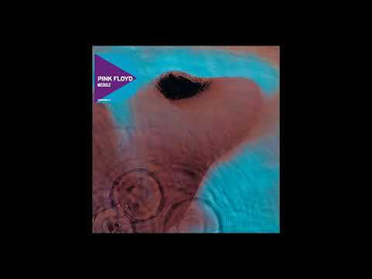 Pink Floyd "Meddle" (Remaster)