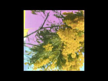 Four Tet "Into Dust" (Still Falling)