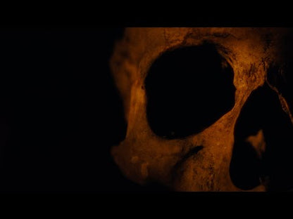 Queens Of The Stone Age "Alive In The Catacombs"