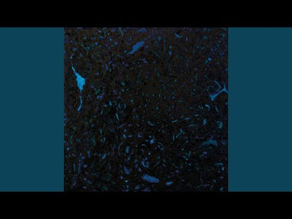 Zenker Brothers "Immersion"