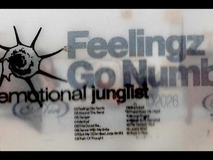 Nia Archives "Emotional Junglist"