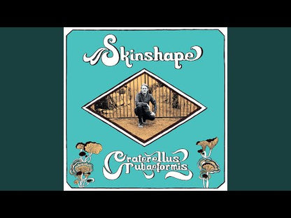 Skinshape "Craterellus Tubaeformis"