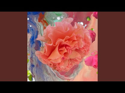 Conic Rose "Heller Tag"