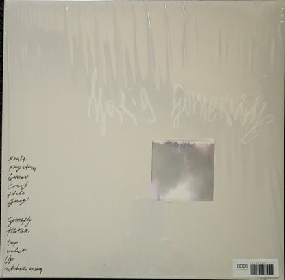 Maria Somerville "Luster" (ltd + 7inch vinyl)