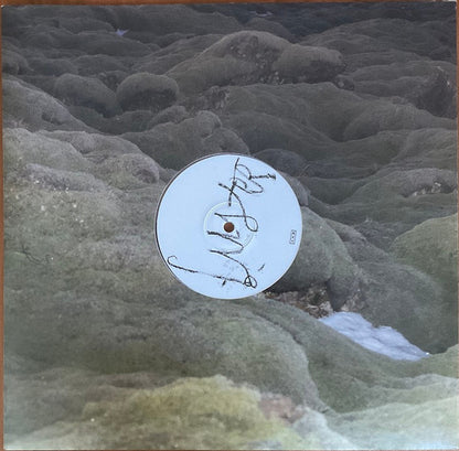 Maria Somerville "Luster" (ltd + 7inch vinyl)
