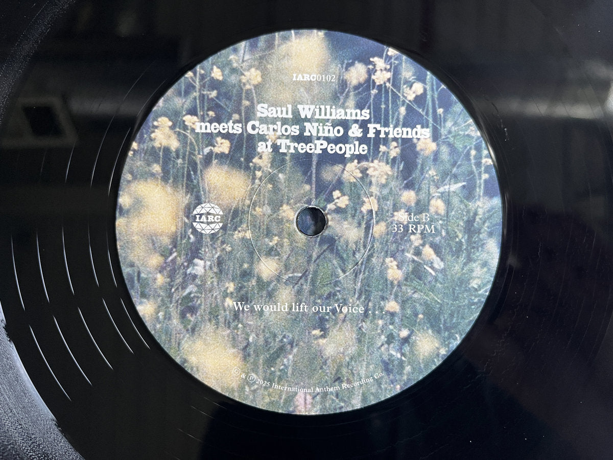 Saul Williams / Carlos Ninos / Friends "Saul Williams meets Carlos Niño & Friends at TreeP"