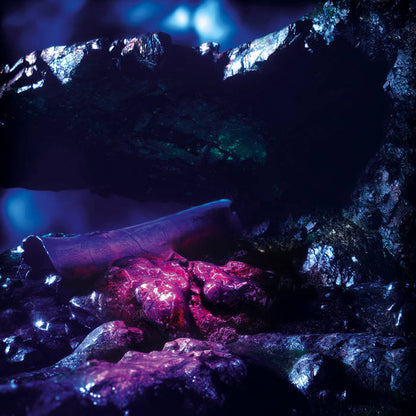 Stenny "Sharp Fragments"