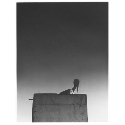 Ø (Mika Vainio) "Sysivalo (LP + CD)