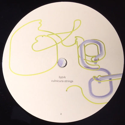 Björk "Vulnicura Strings"