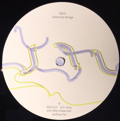 Björk "Vulnicura Strings"