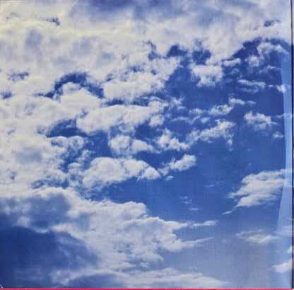 Hiroshi Yoshimura "Flora 1987"